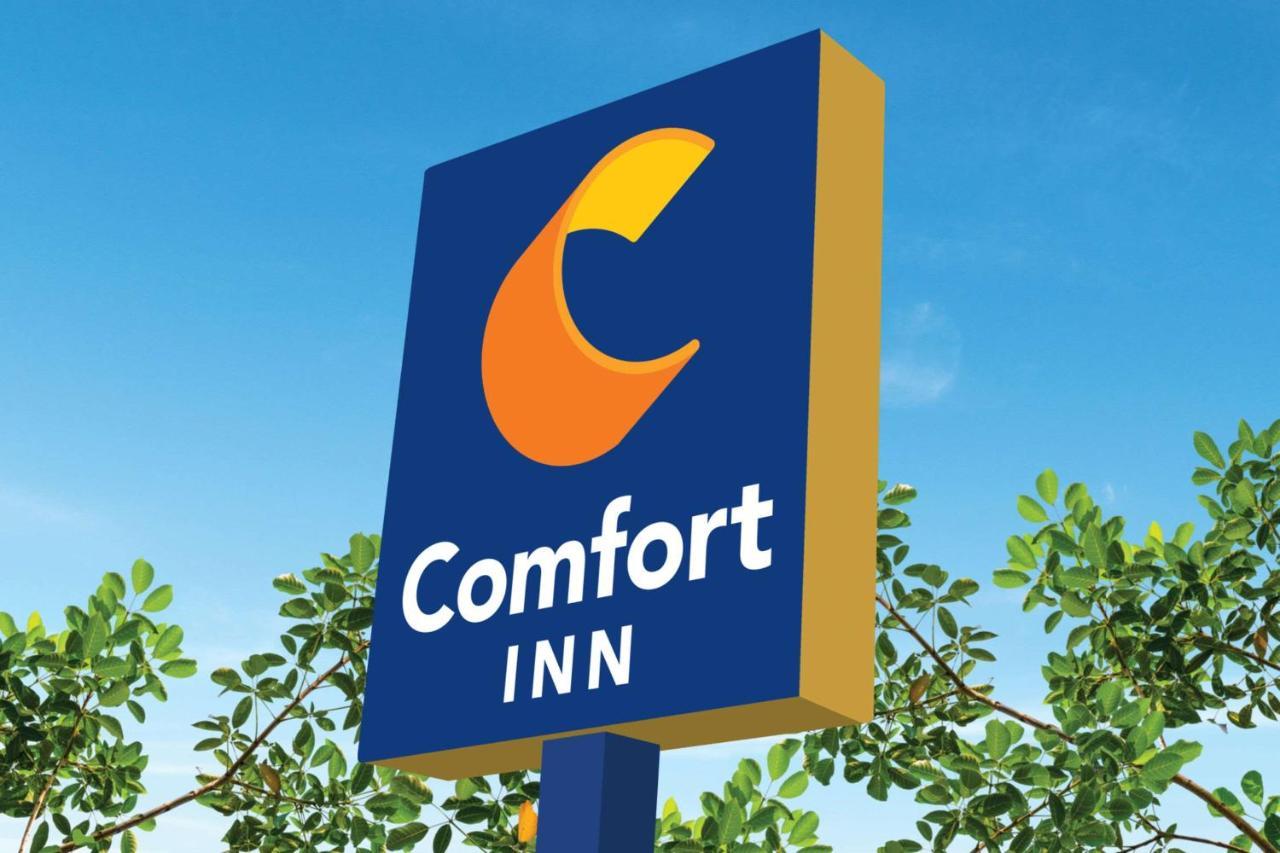 Comfort Inn Griswold Экстерьер фото